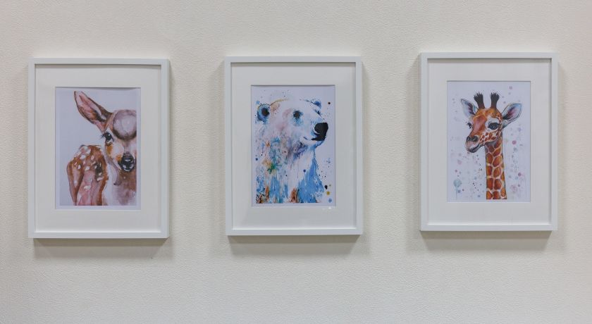 Изображение статьи