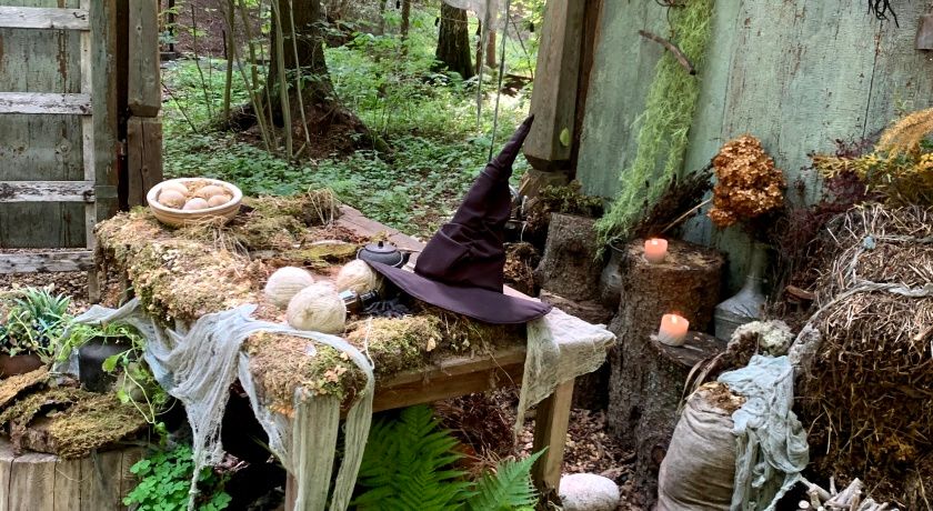 Аренда фотостудии Домик в лесу Зал Ворота  в Москве | Фото 