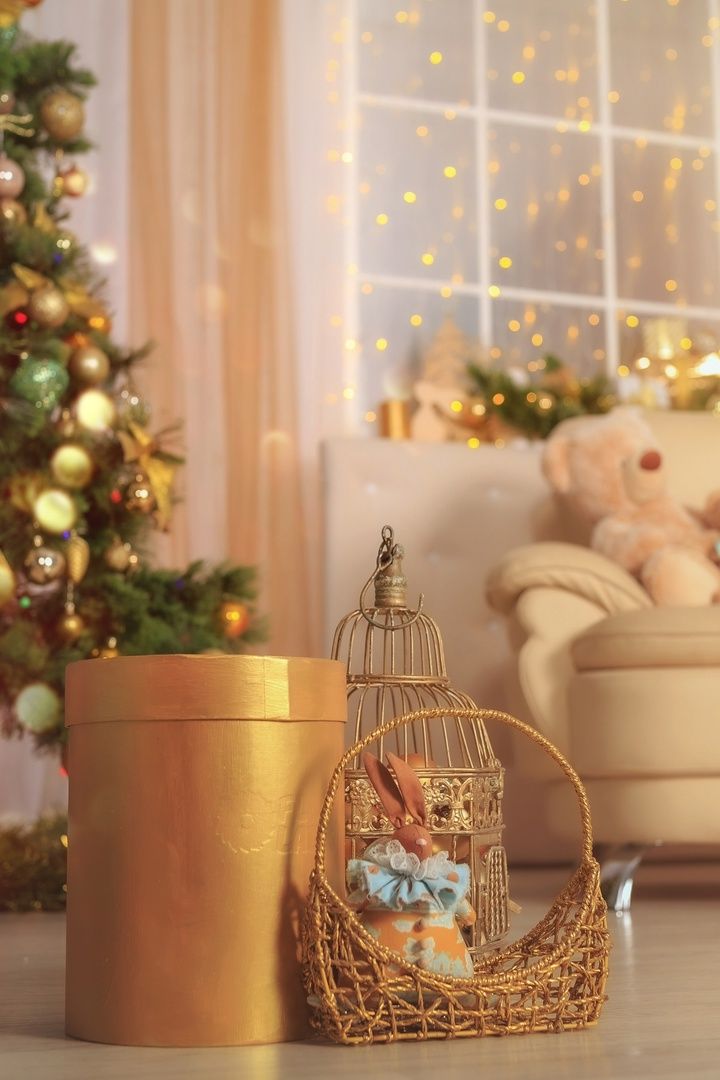 Аренда фотостудии Art Gallery Зал Основной  в Чебоксарах | Фото 