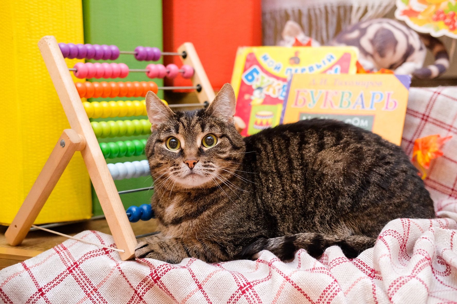 Новостное изображение