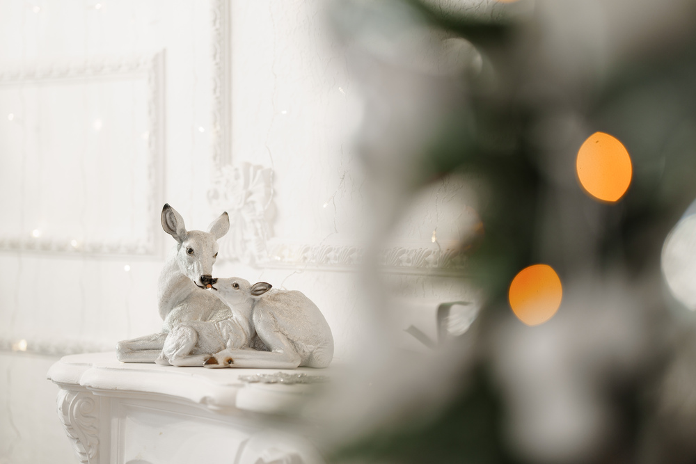 Аренда фотостудии Persona Зал Panorama  в Екатеринбурге | Фото 