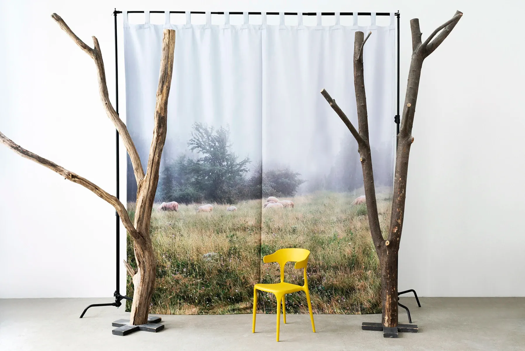 Аренда фотостудии 0603st на Марьина Роще Зал Forest в Москве | Фото 