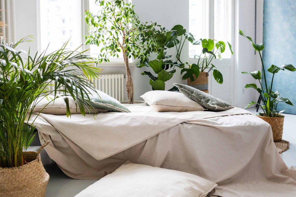 Wynajem studia fotograficznego Chromatic Studio Studio Chromatic w Poznaniu | Foto 