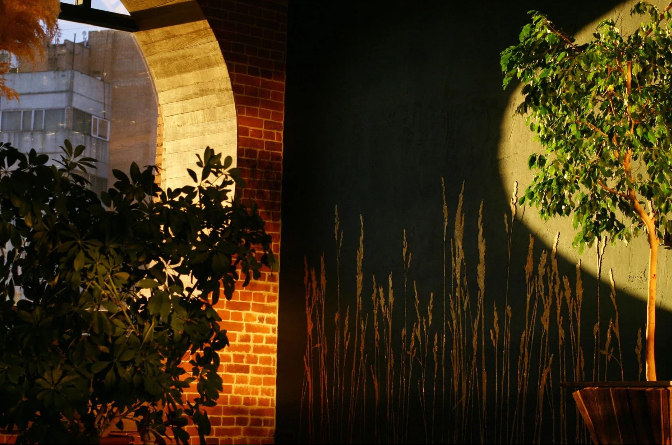 Изображение статьи