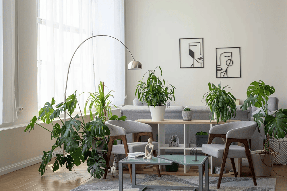 Аренда фотостудии PRIME studios Зал Апарт в Москве | Фото 