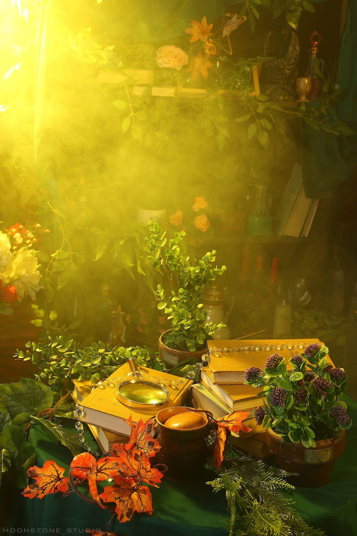 Аренда фотостудии Moonstone Зал Оранжерея в Новосибирске | Фото 