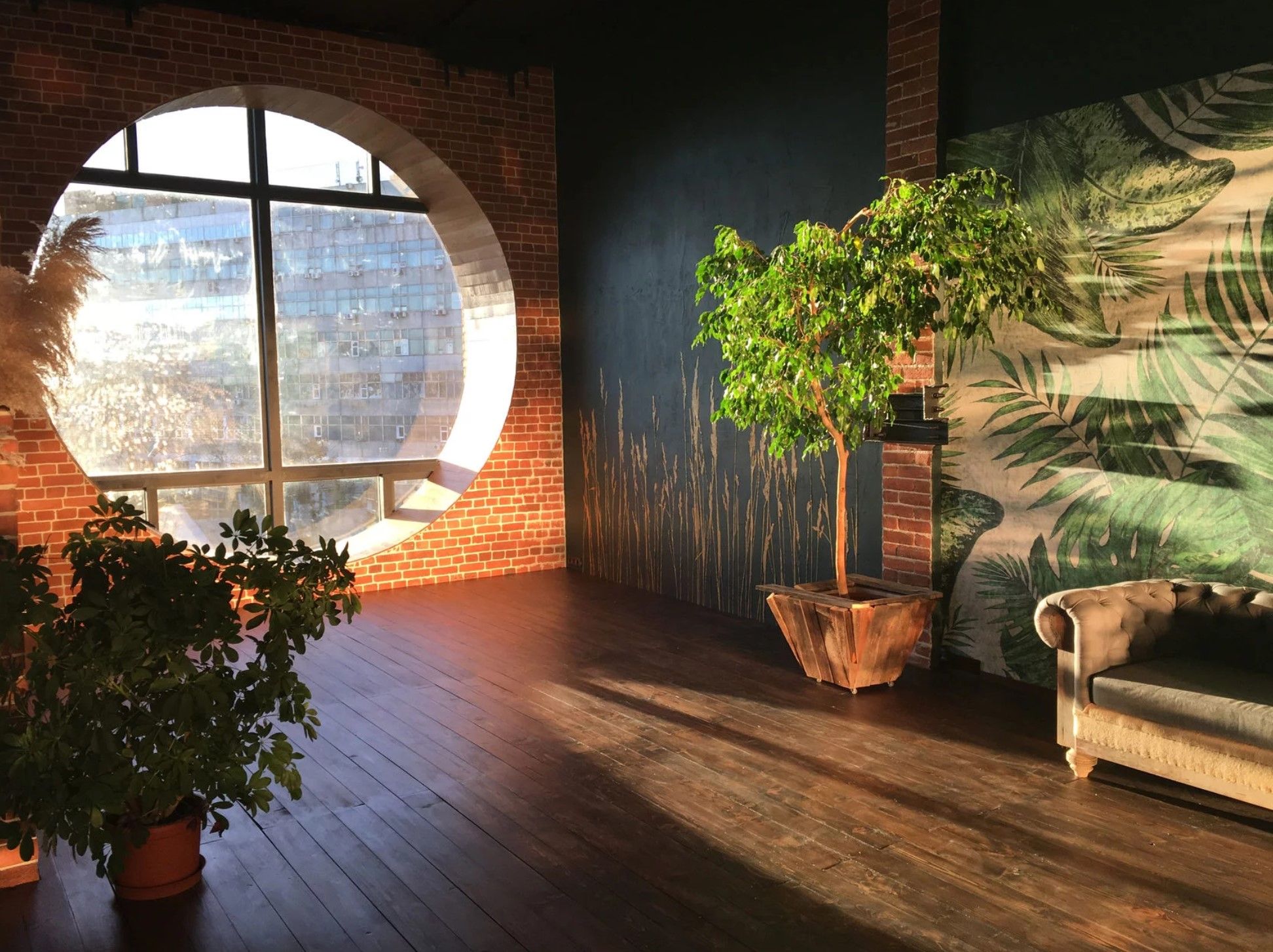 Аренда фотостудии Ботаника Зал Ботаника в Москве | Фото 