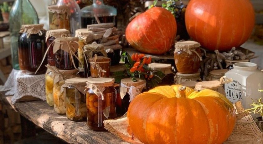 Аренда фотостудии Домик в лесу Зал Веранда осенью в Москве | Фото 