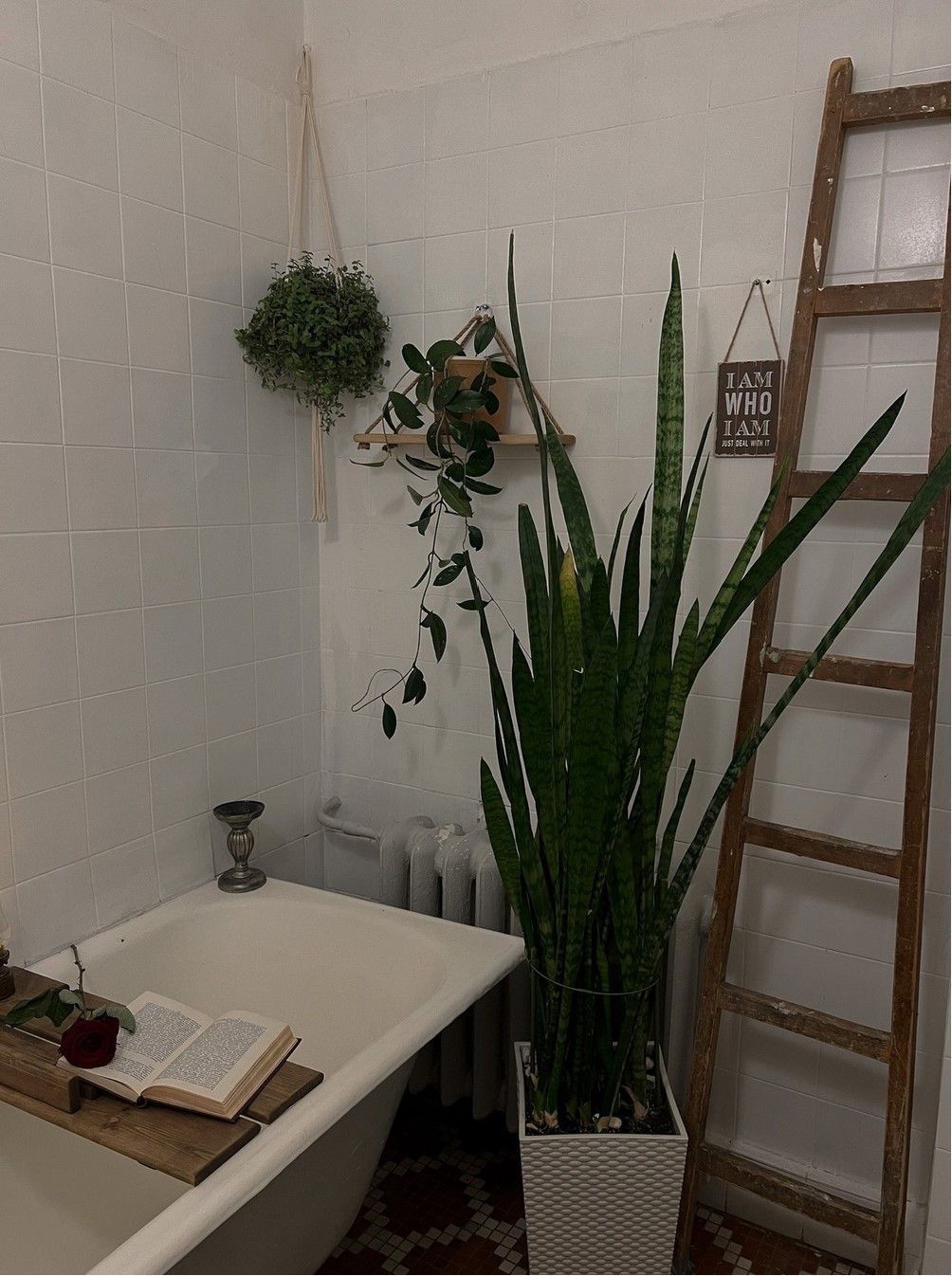 Аренда фотостудии СТОЛИЦА Зал ТВЕРСКАЯ, 15 в Москве | Фото 