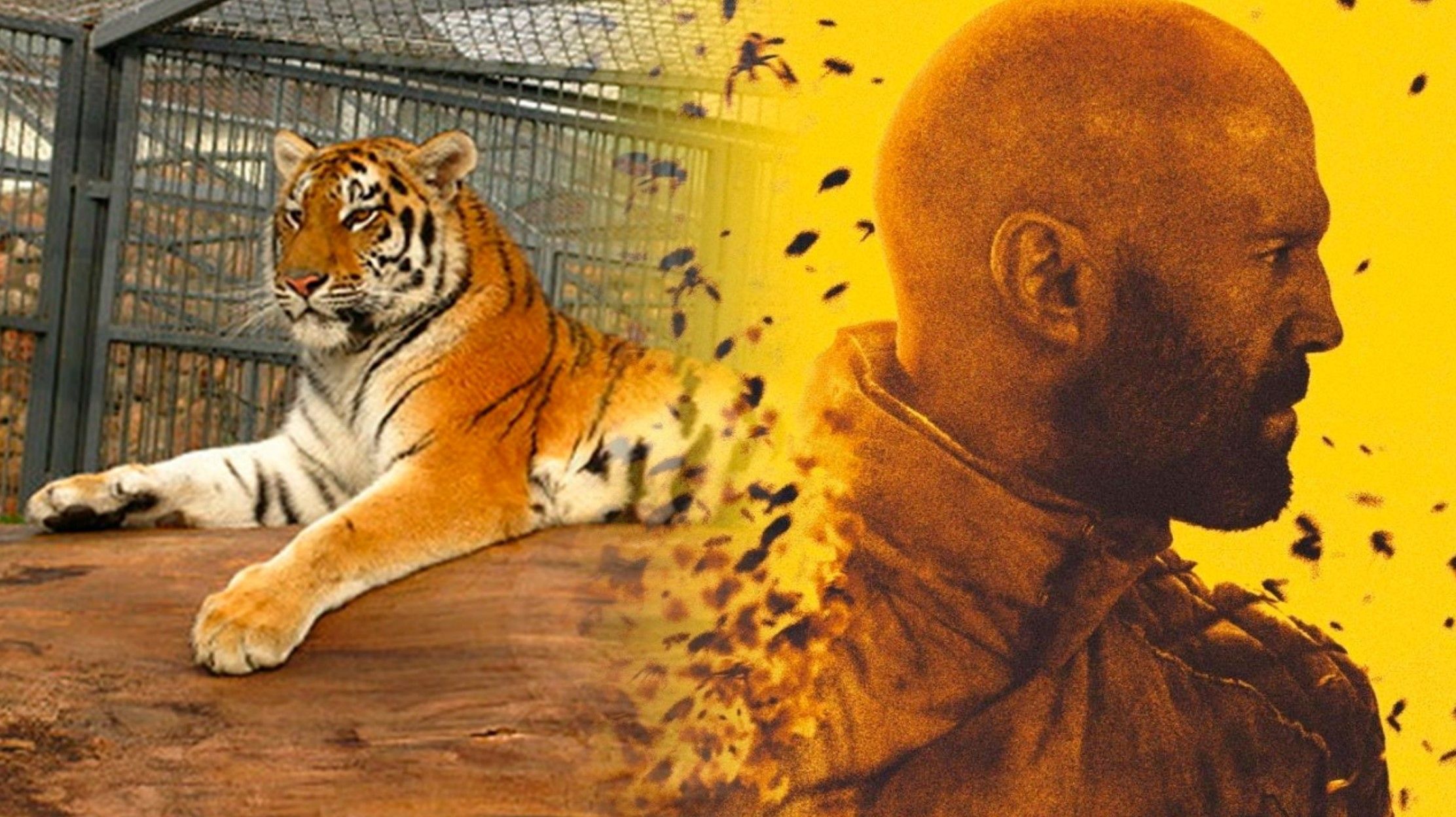 Новостное изображение