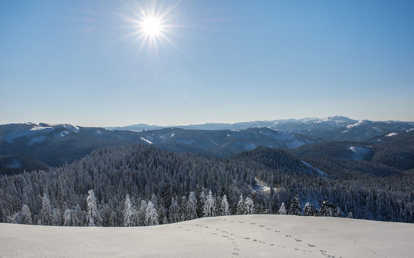 Новостное изображение