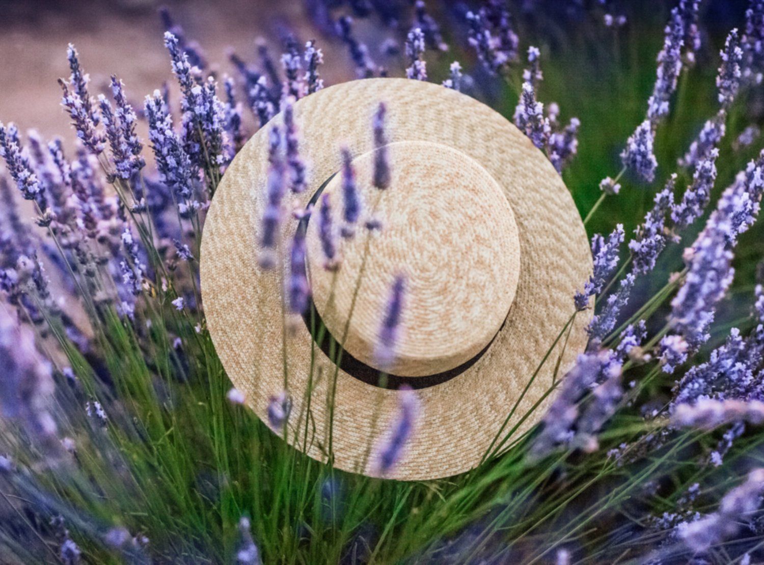 Новостное изображение