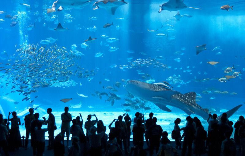 Новостное изображение