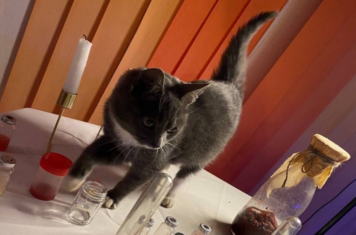 Новостное изображение