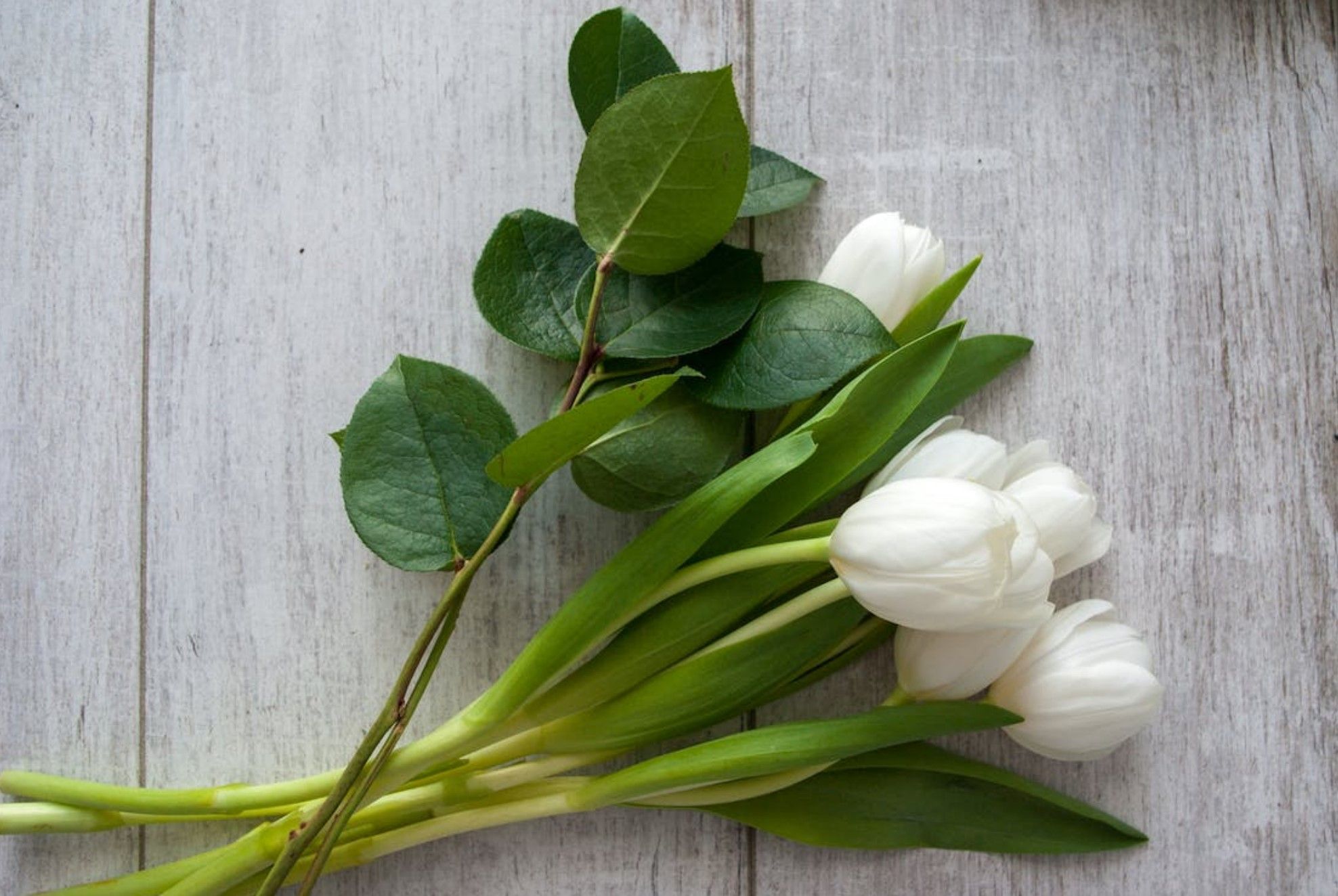 Новостное изображение