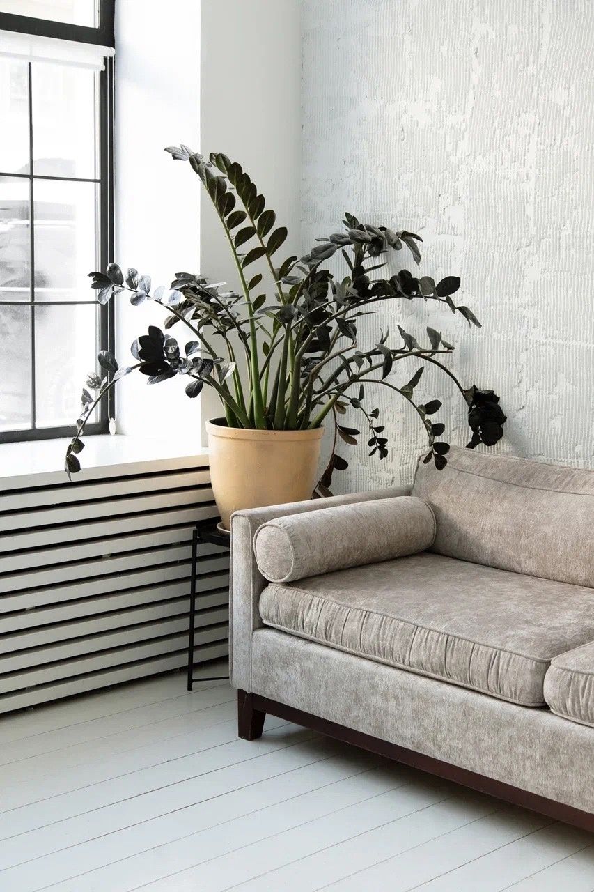 Аренда фотостудии HISTORY Зал Forma в Перми | Фото 