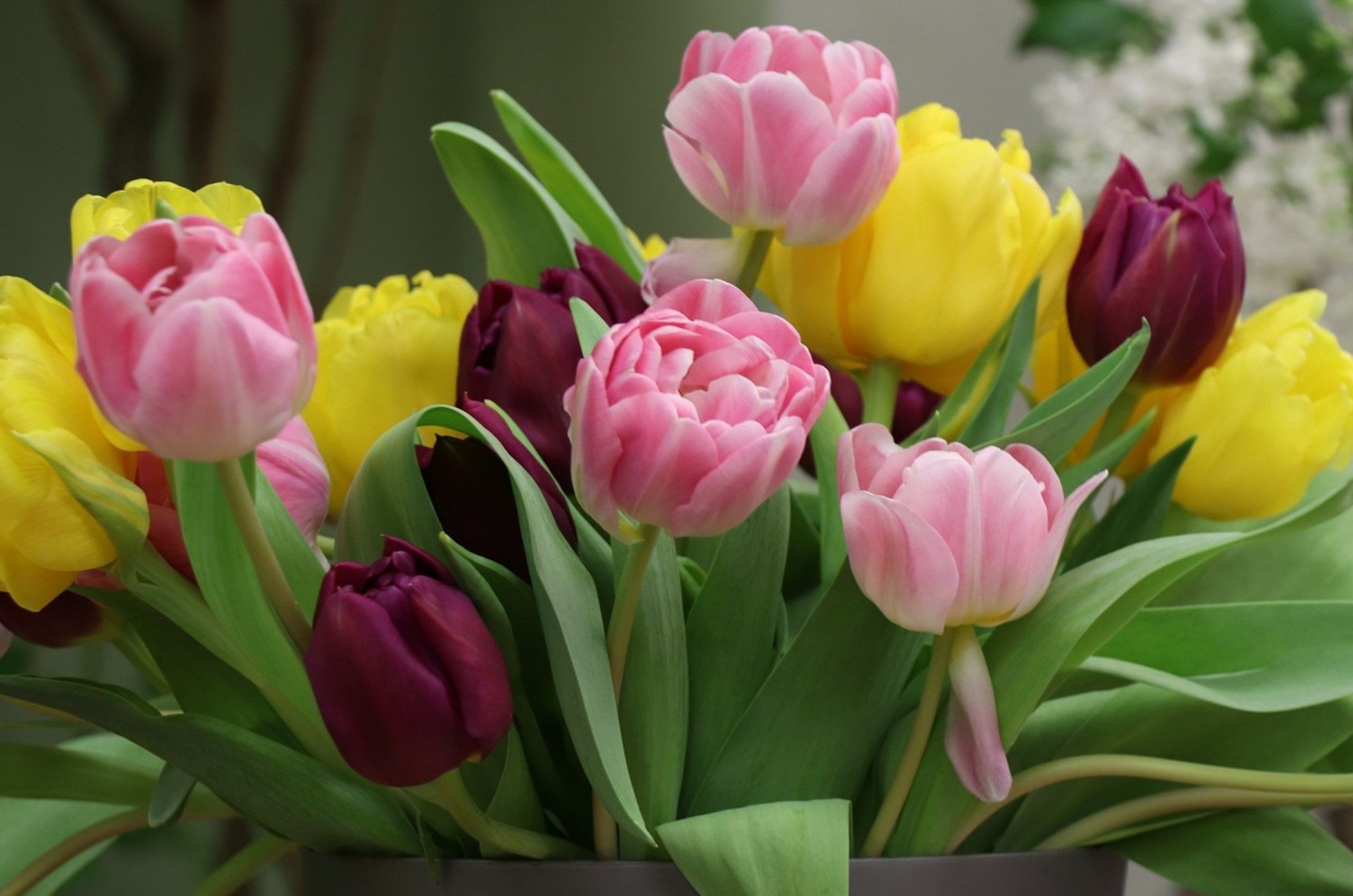 Новостное изображение