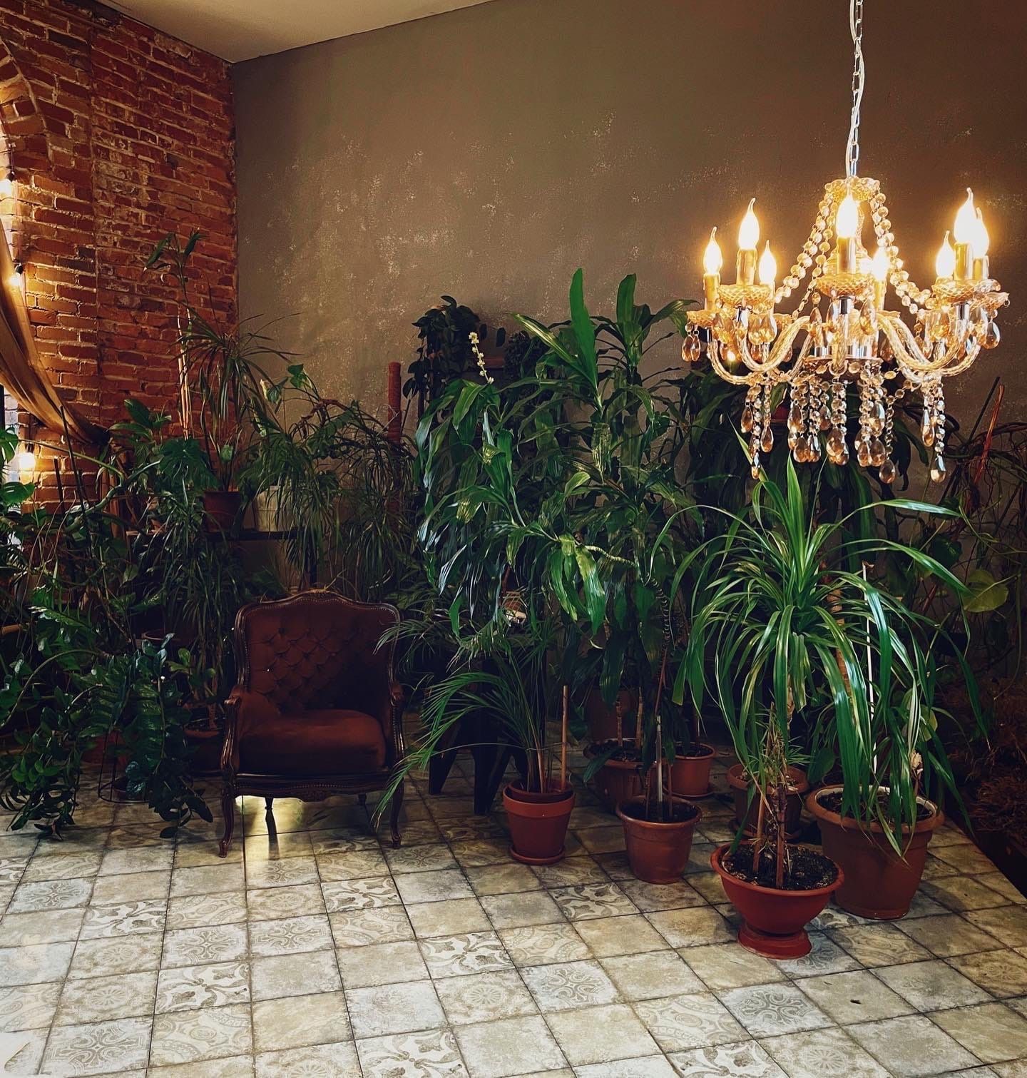 Аренда фотостудии Locus Studio Зал Оранжерея в Казани | Фото 