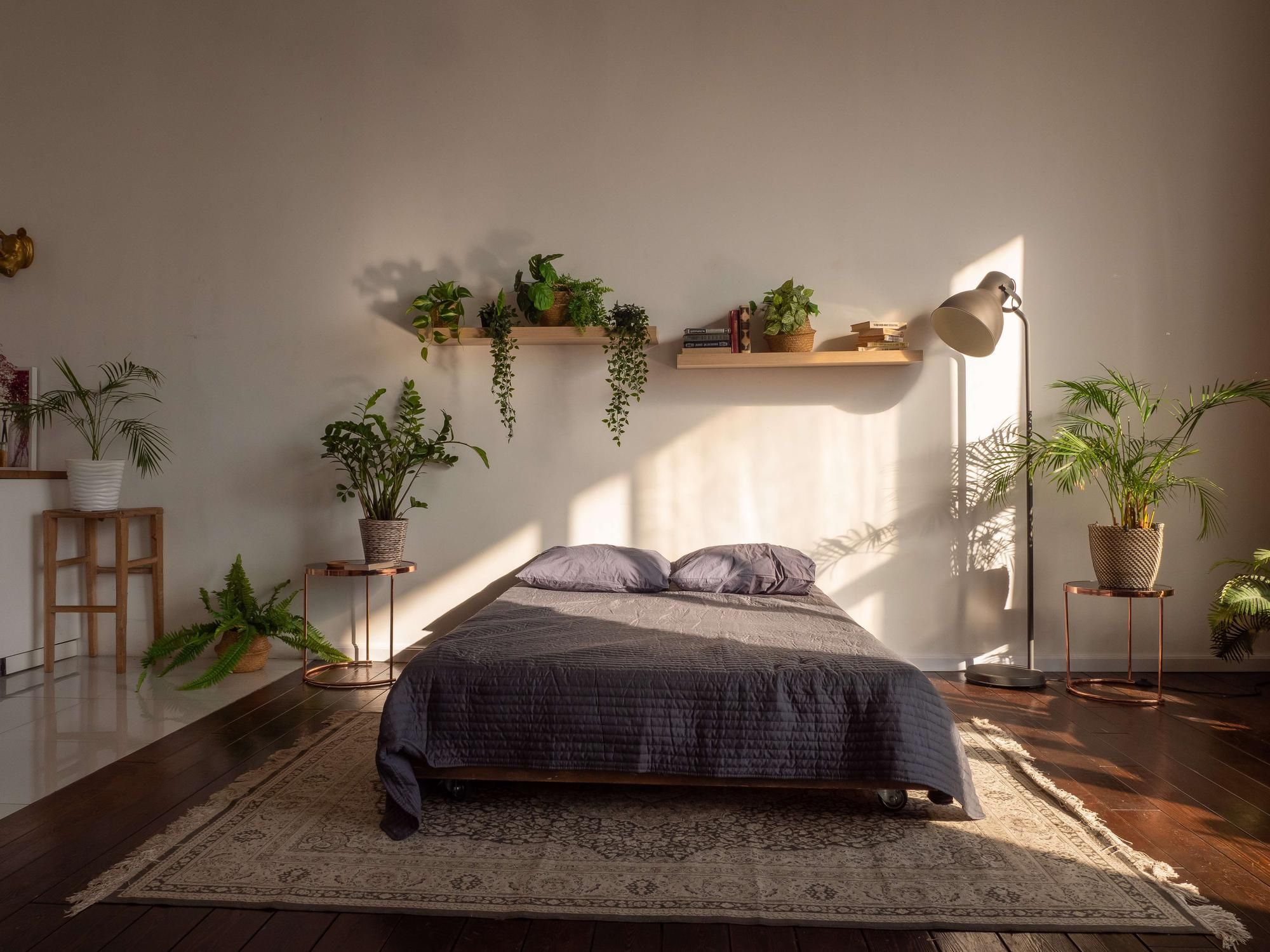 Аренда фотостудии Spring Photostudio Зал Air в Москве | Фото 