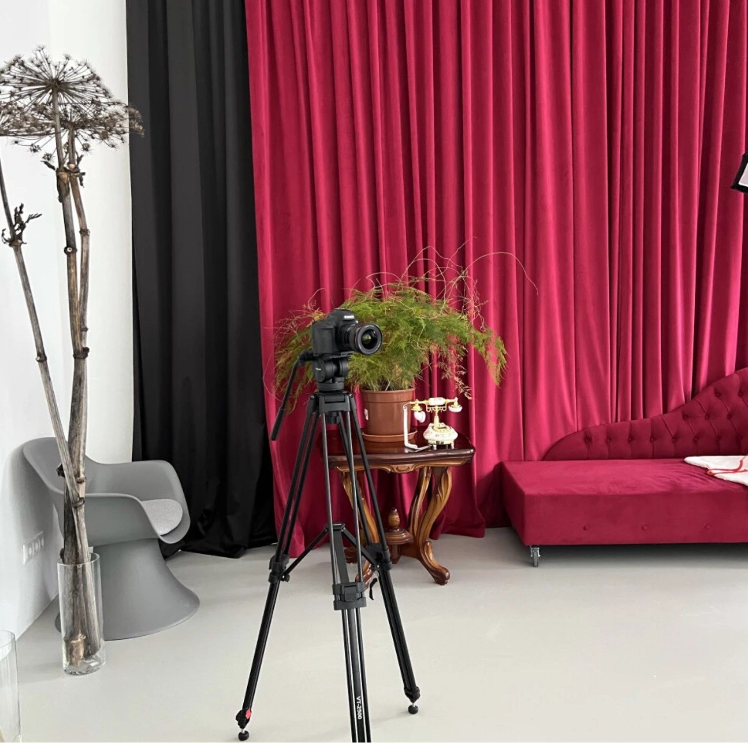 Аренда фотостудии Fluffy.photo Зал Red в Москве | Фото 