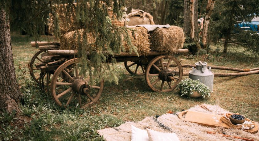Аренда фотостудии Домик в лесу Зал Телега  в Москве | Фото 