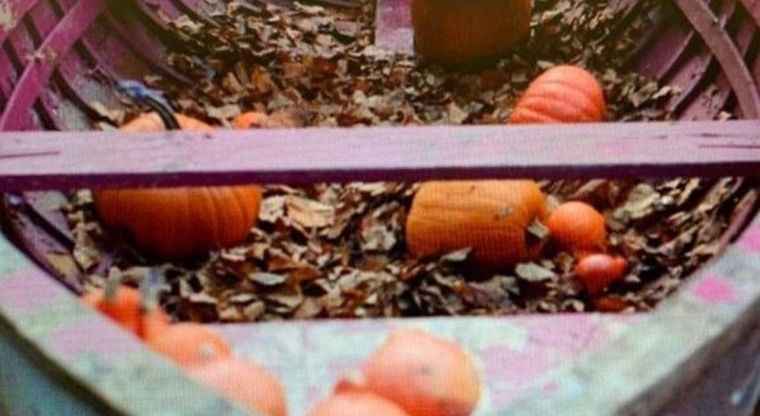 Аренда фотостудии Домик в лесу Зал Лодка на пруду в Москве | Фото 