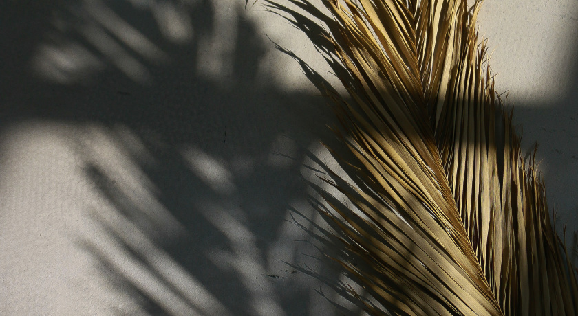 Аренда фотостудии  WHYNOT Зал Trend  в Екатеринбурге | Фото 