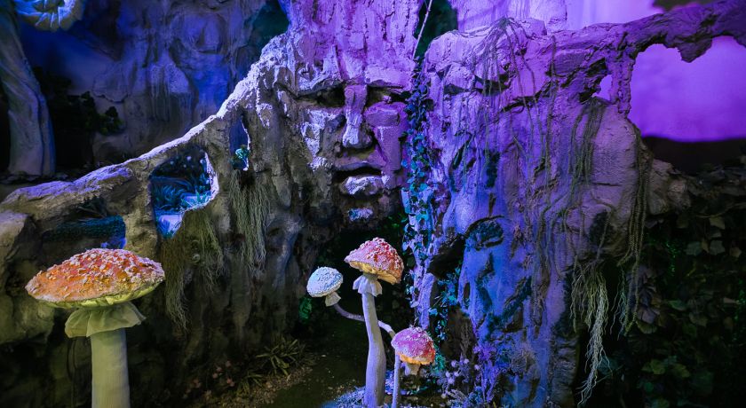 Аренда фотостудии Киностудия ТvоёКино Зал Сказочный лес в Москве | Фото 