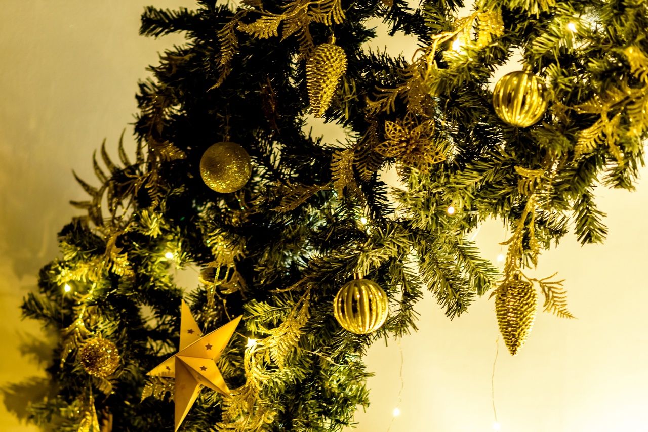 Аренда фотостудии Тринити Зал Основной  в Стерлитамаке | Фото 