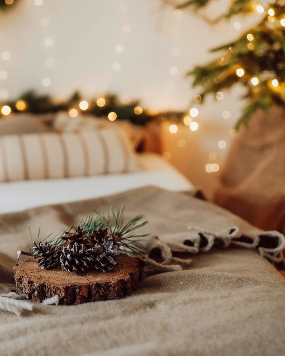 Wynajem studia fotograficznego Studio Kadrowane Studio Boho w Warszawie | Foto 