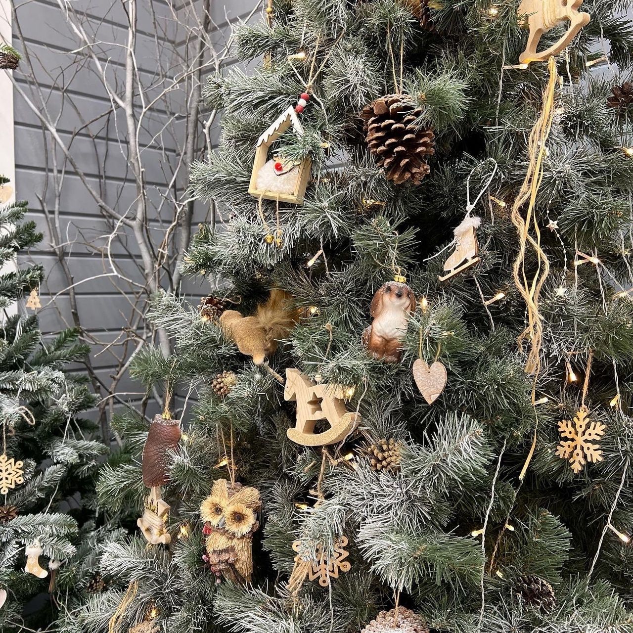 Изображение статьи