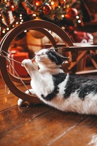 Аренда фотостудии Art-place Faktura Зал Лифт/Мансарда в Санкт-Петербурге | Фото 