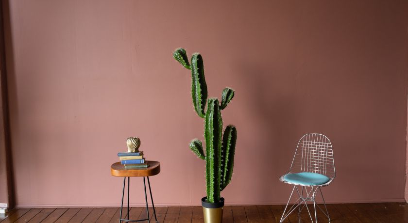 Аренда фотостудии Obscur Studio Зал Omega в Москве | Фото 