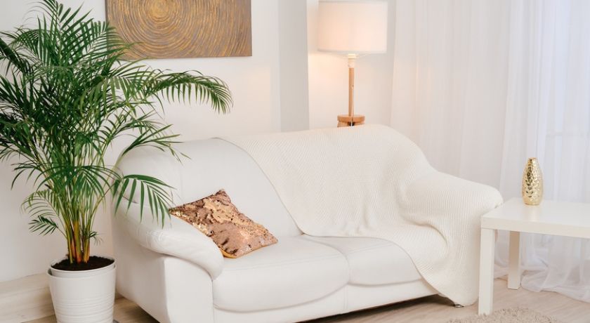 Аренда фотостудии Белый Кролик Зал Семейный  В Омске | Фото 