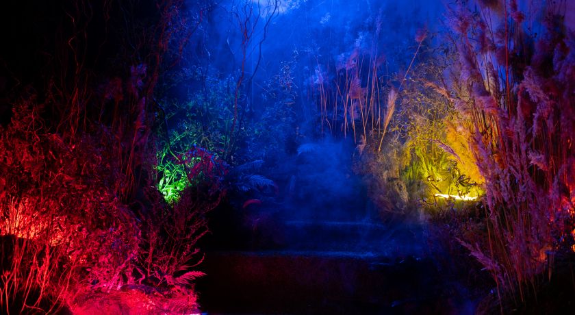 Аренда фотостудии Husky Studio Зал Бархат в Москве | Фото 