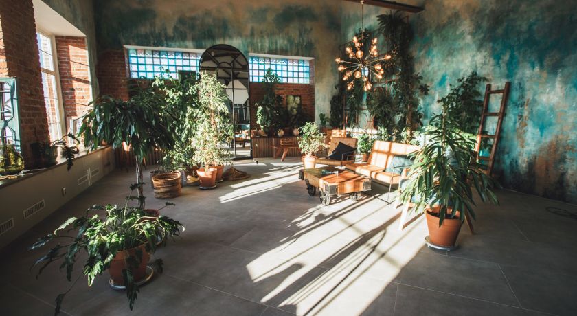 Аренда фотостудии ВЕРЕТЕНО Зал САД в Санкт-Петербурге | Фото 