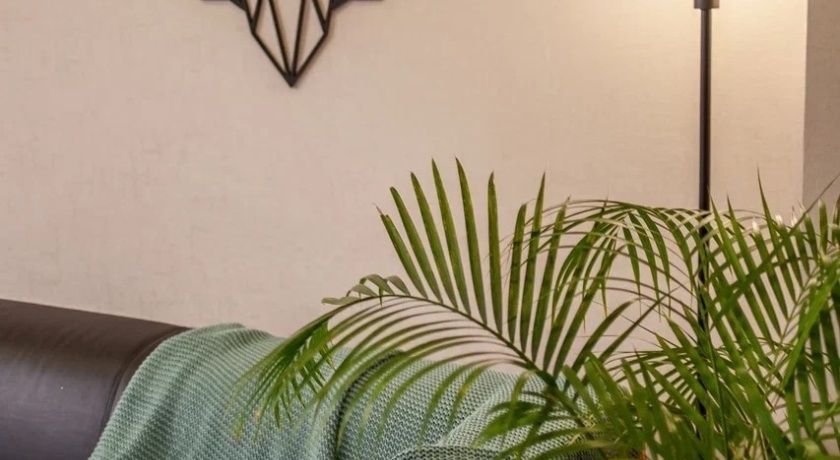 Изображение статьи