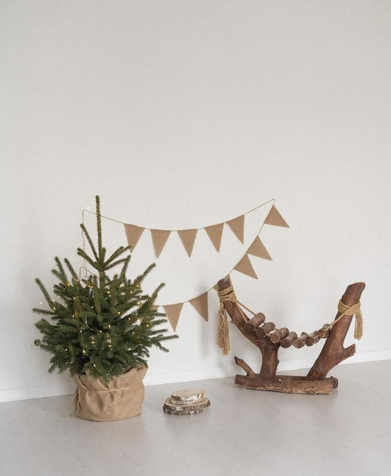 Аренда фотостудии Феломена Зал Family в Минске | Фото 