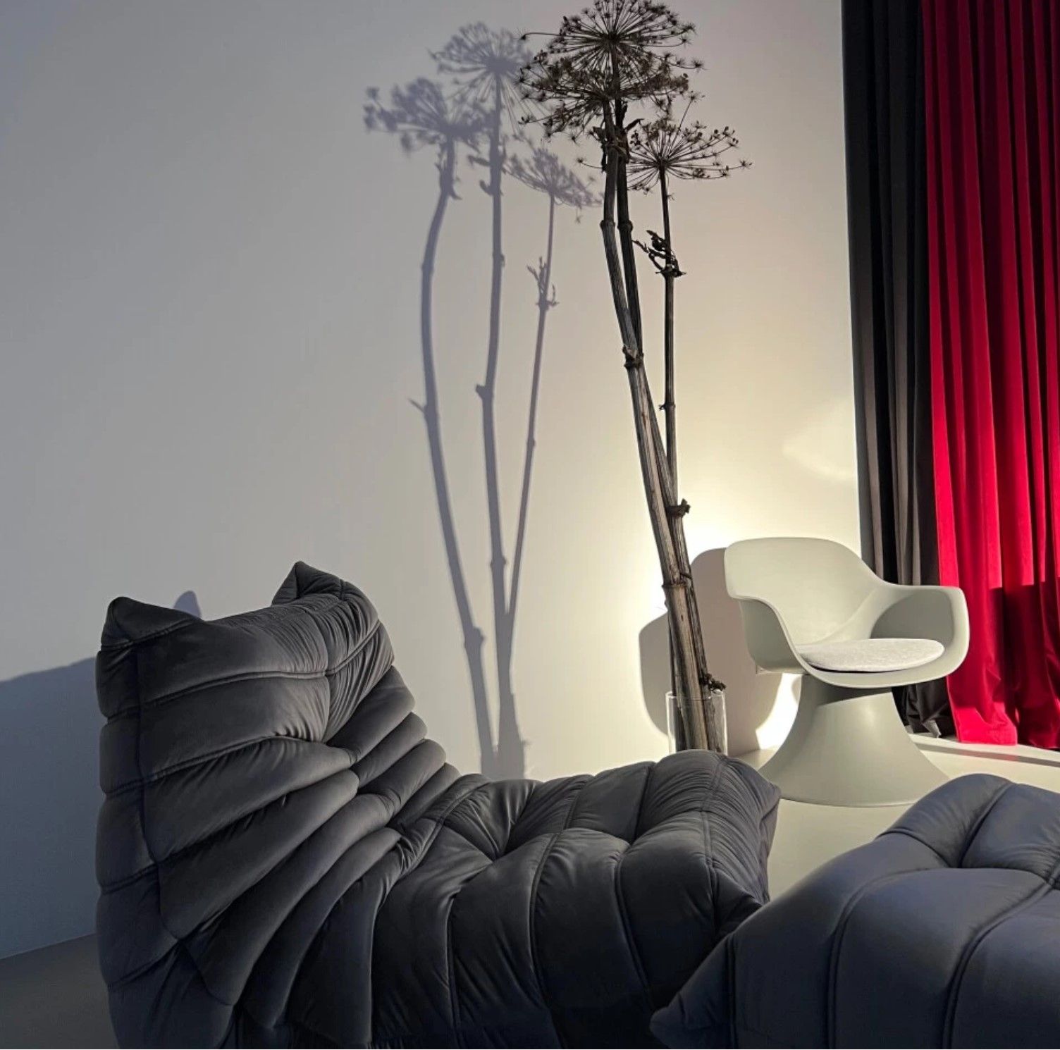 Аренда фотостудии Fluffy.photo Зал Red в Москве | Фото 