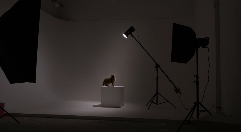 Аренда фотостудии Grand Зал Циклорама в Санкт-Петербурге | Фото 