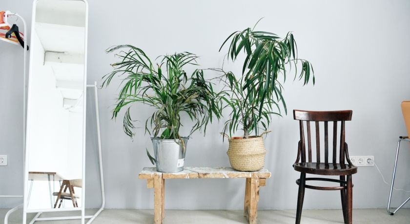 Изображение статьи