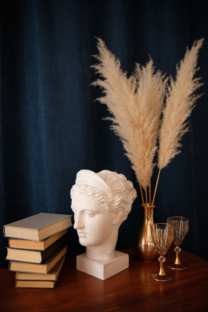 Аренда фотостудии Апельсин Зал Апельсин В Новокузнецке | Фото 