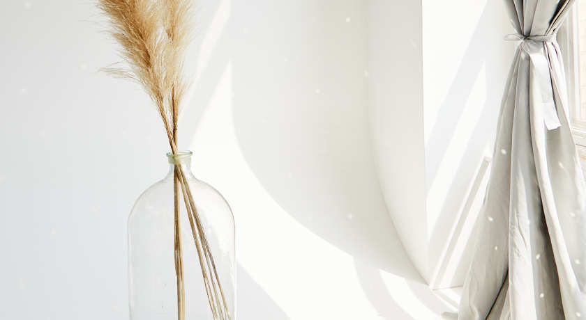 Аренда фотостудии Молодые Зал Чистый в Москве | Фото 