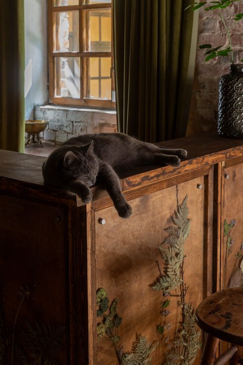 Аренда фотостудии RODEN Зал Холл в Москве | Фото 