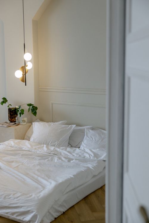 Аренда фотостудии Forest Studio Зал Зал MONE в Минске | Фото 