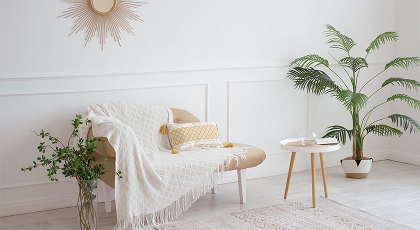 Аренда фотостудии Евразия Зал Европа  Во Владивостоке | Фото 