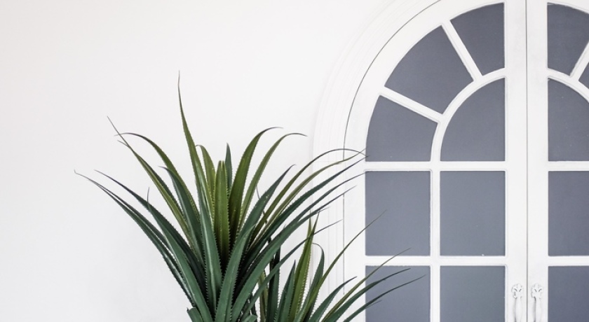 Аренда фотостудии VANGUARD Зал Серый в Санкт-Петербурге | Фото 