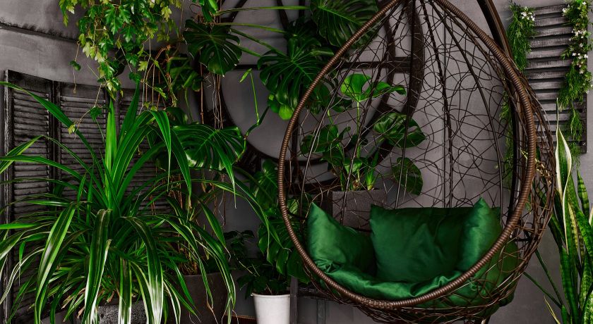 Аренда фотостудии Five Stars Зал AVANGARD в Санкт-Петербурге | Фото 