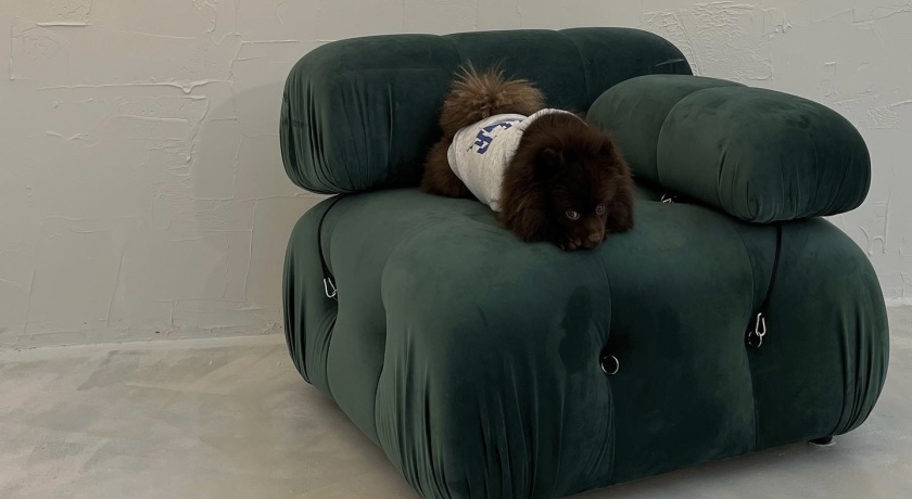 Аренда фотостудии Statement Зал Nuage в Санкт-Петербурге | Фото 