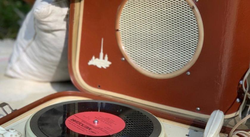 Аренда фотостудии Домик в лесу Зал Ретро пикник в Москве | Фото 